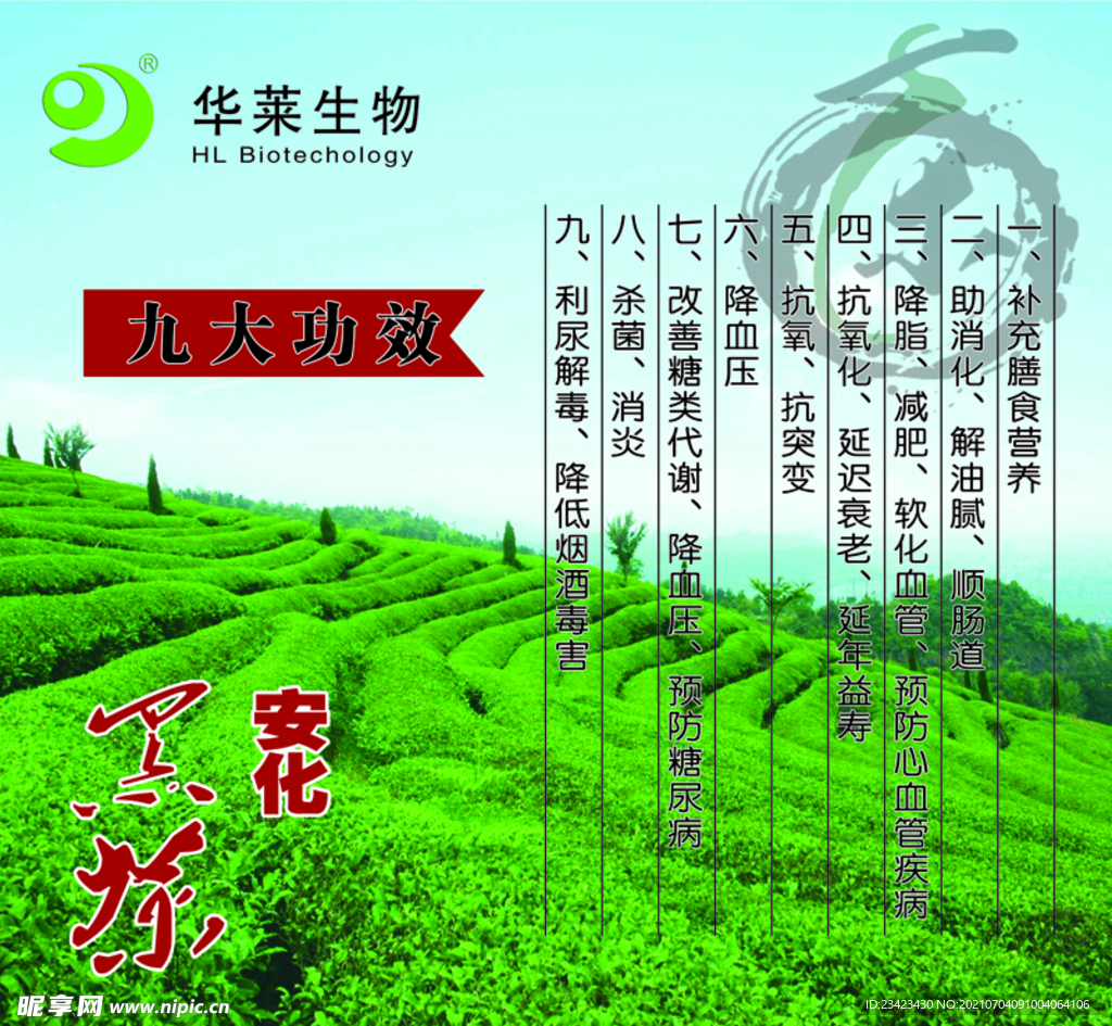 华莱
