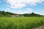 田园风景