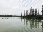 鹃湖