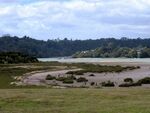 奥克兰海湾风景