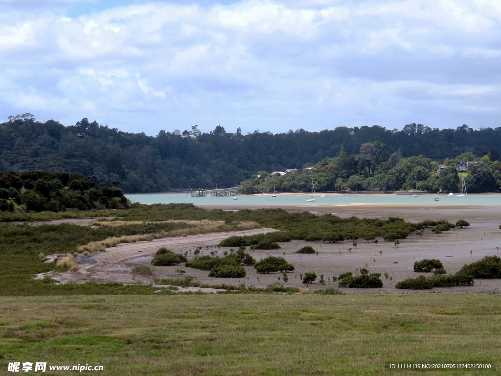 奥克兰海湾风景