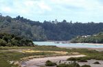 奥克兰海湾风景