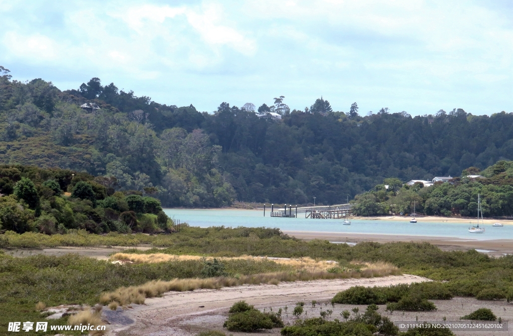 奥克兰海湾风景