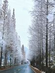 雪天公路