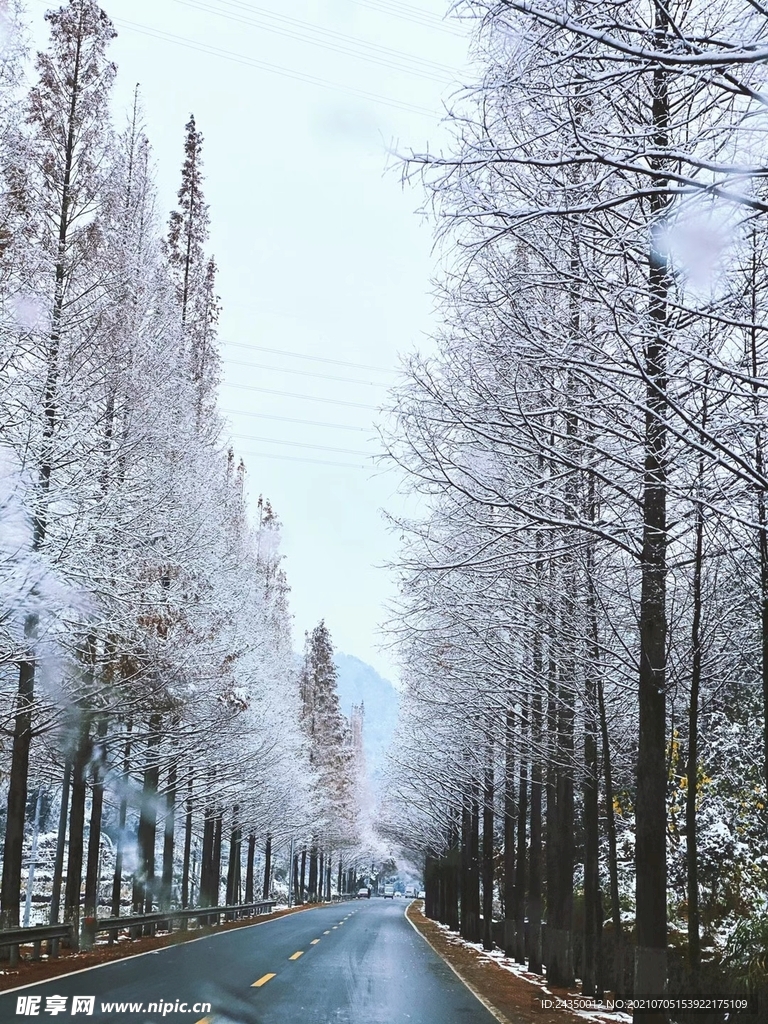 雪天公路