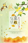 二十四节气立秋