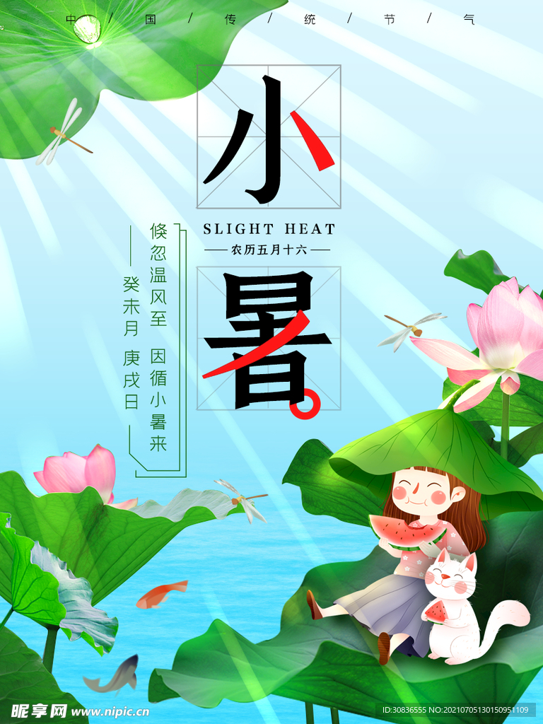 小暑海报 