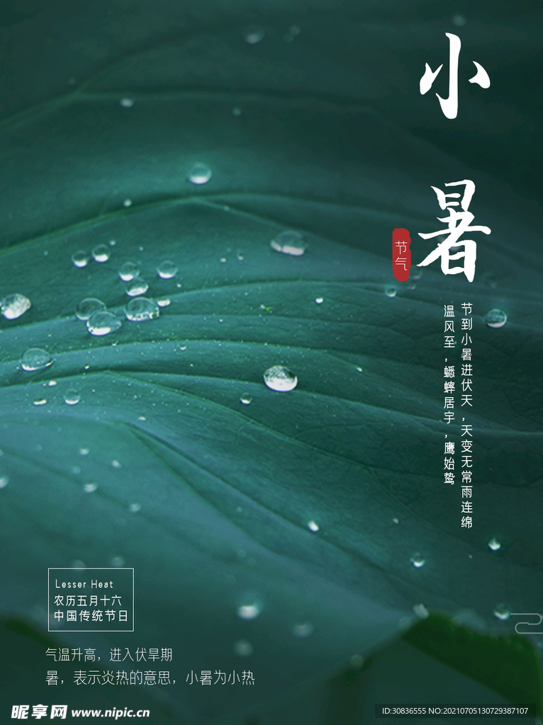 小暑海报 