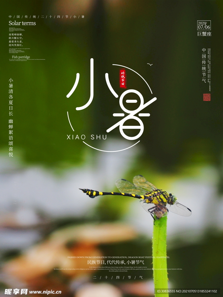 小暑海报 
