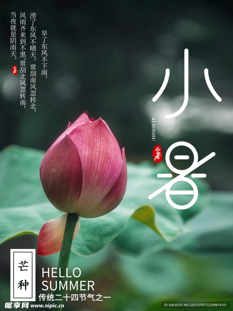 小暑海报 