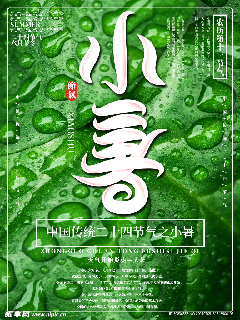 小暑海报 