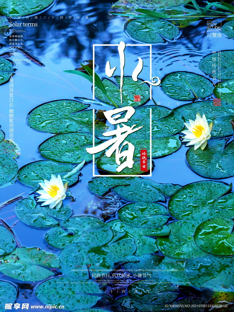 小暑海报 