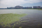 湖南松雅湖国家湿地公园