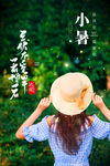 小暑