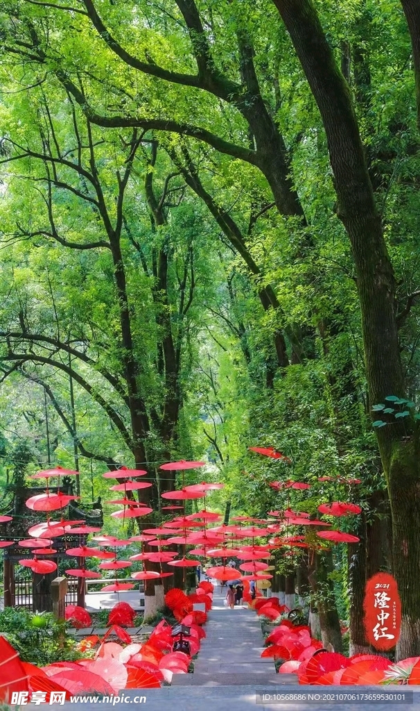 风景