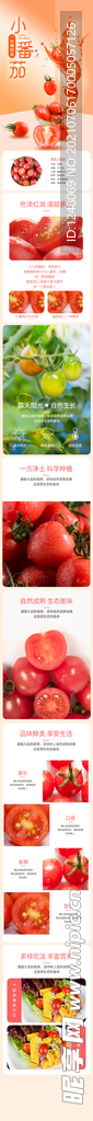 圣女果小番茄食品水果详情页
