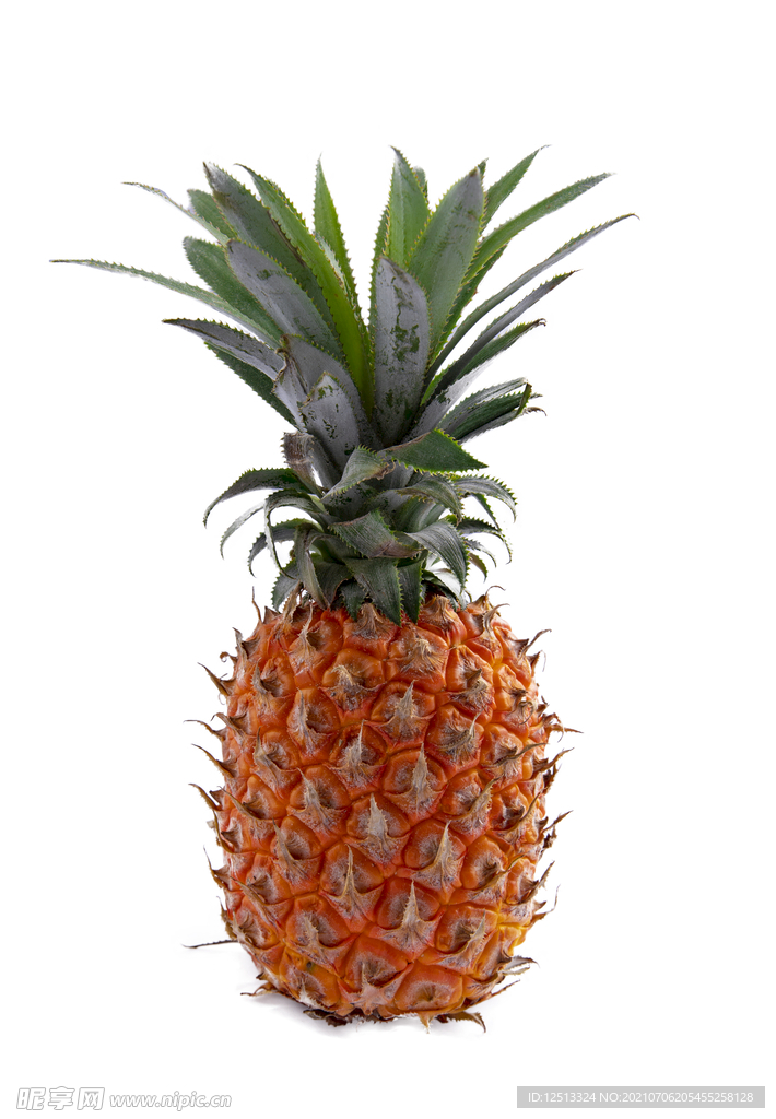 菠萝