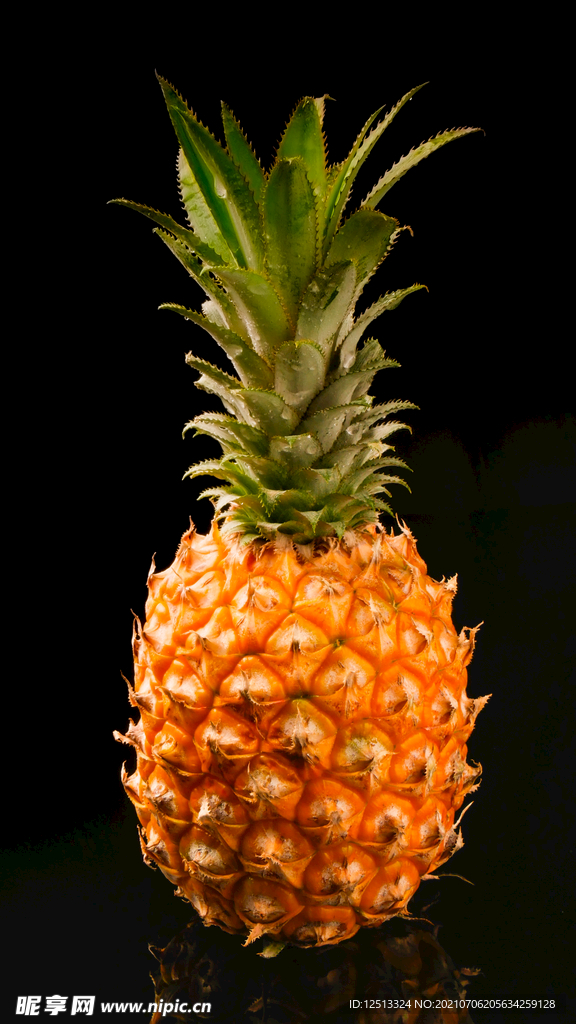 菠萝