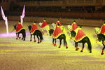 游乐场里的马术表演