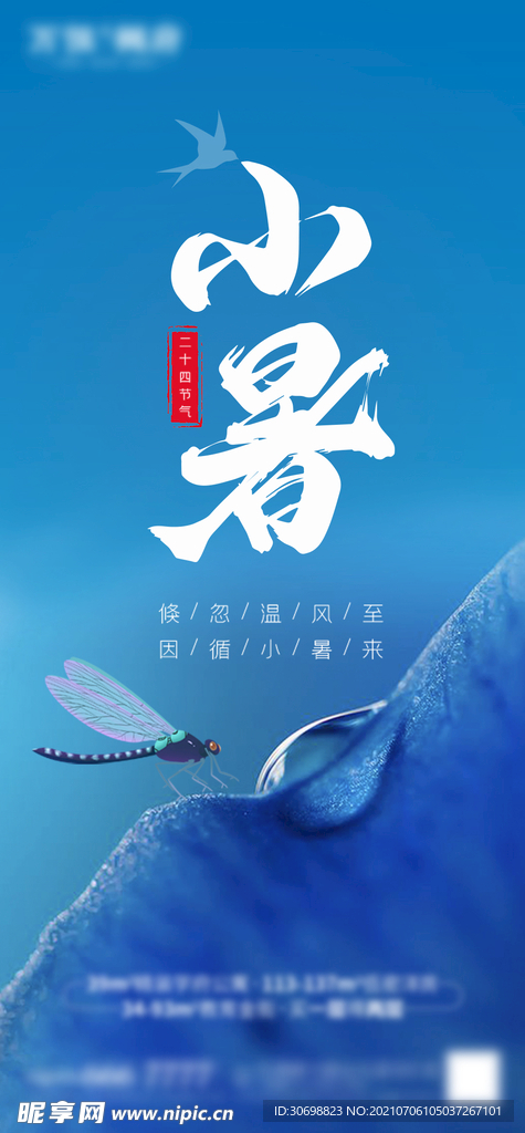 小暑 节气