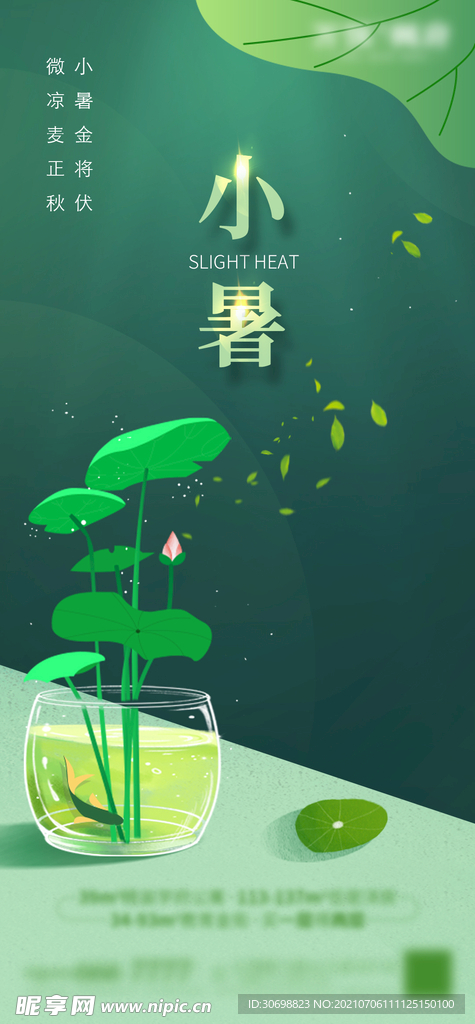 小暑 节气