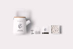 茶叶样机