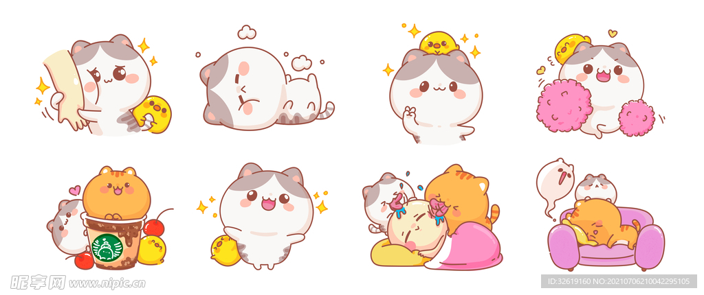 猫