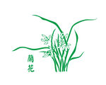 兰花