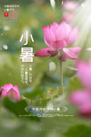 小暑