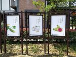 户外展示牌展板标牌