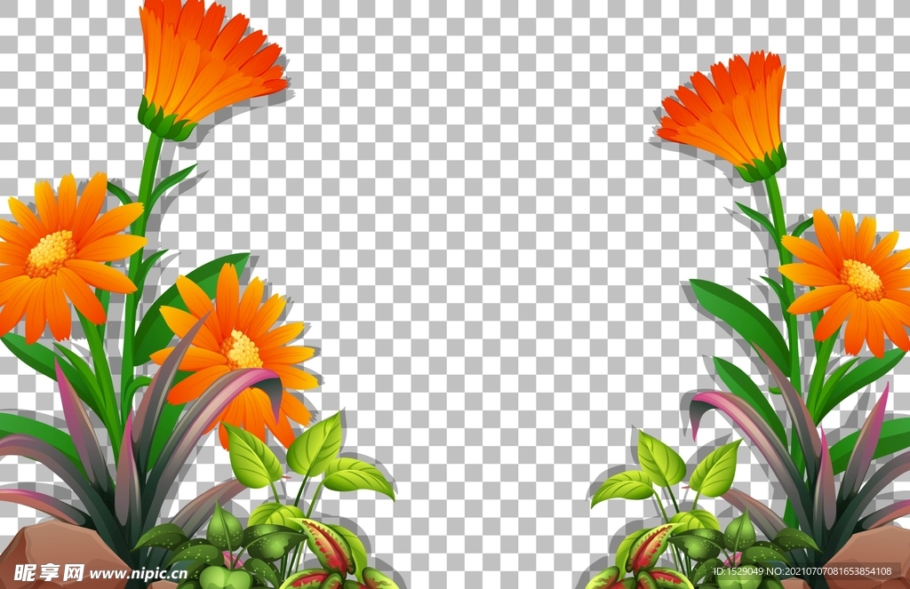 花草背景  