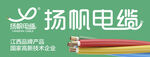 杨帆电缆