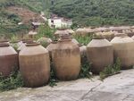 酒坛