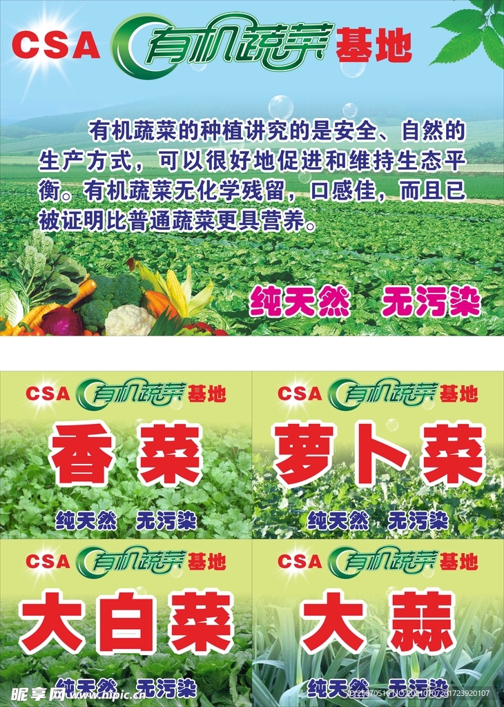 有机蔬菜