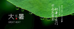 大暑节气手机海报banner