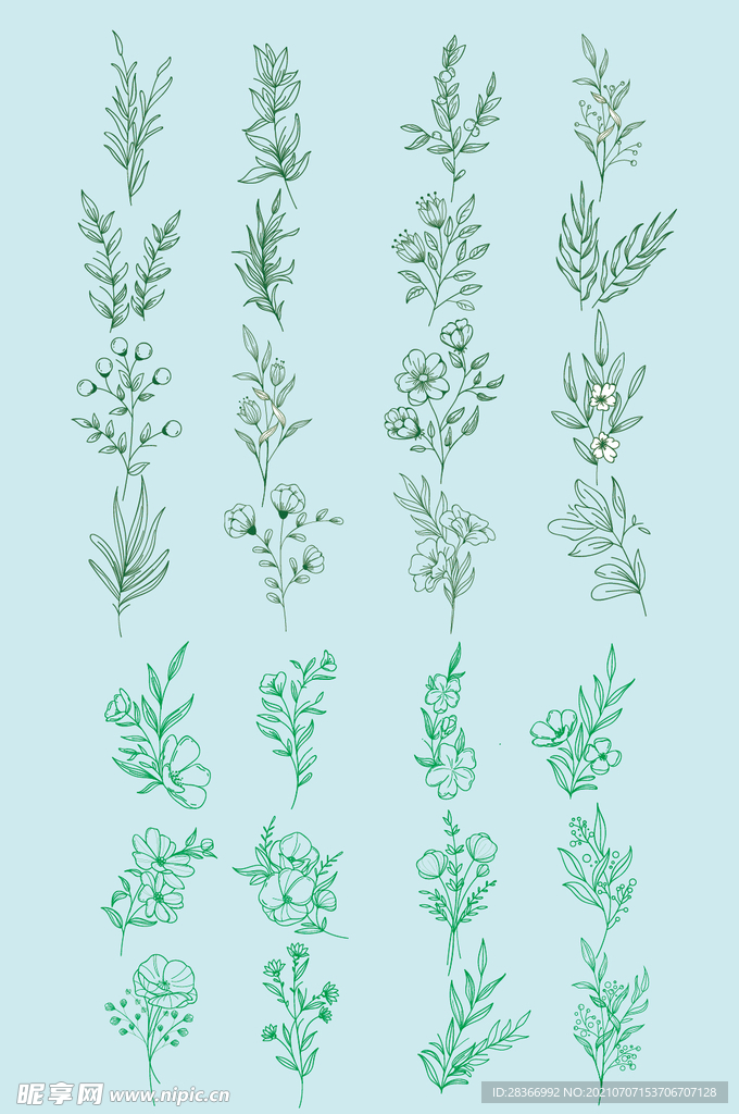 矢量手绘线条花草