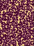 豹纹