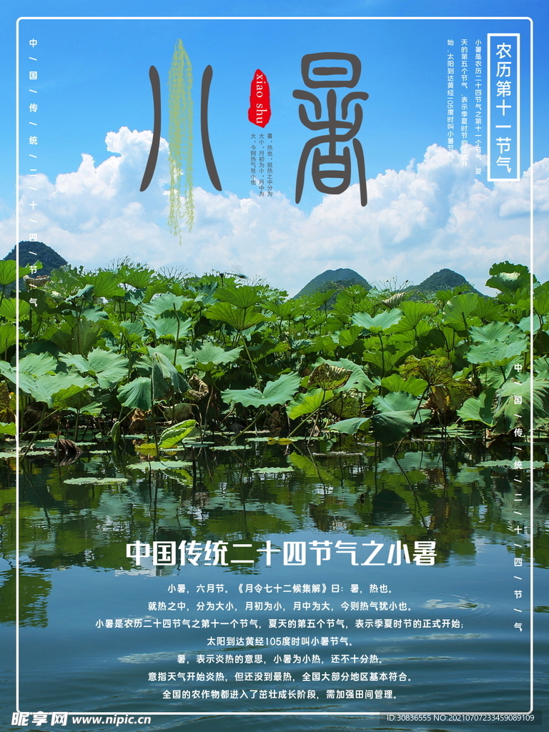 小暑海报