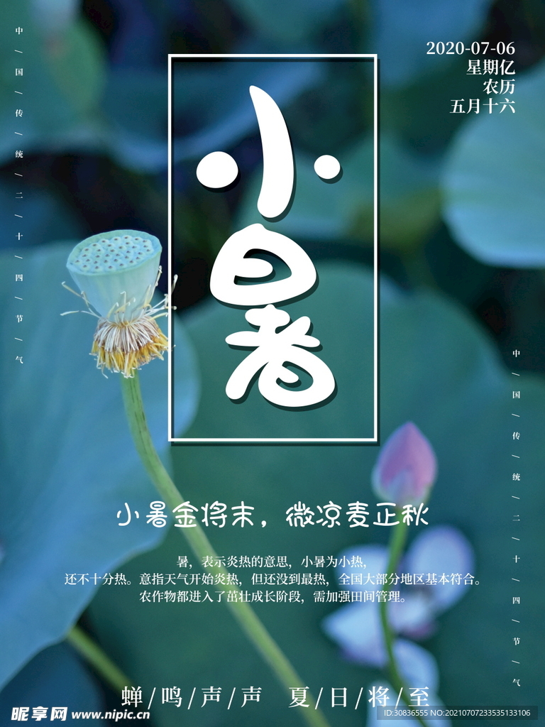 小暑海报