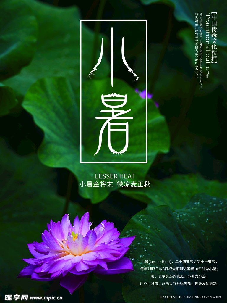 小暑海报
