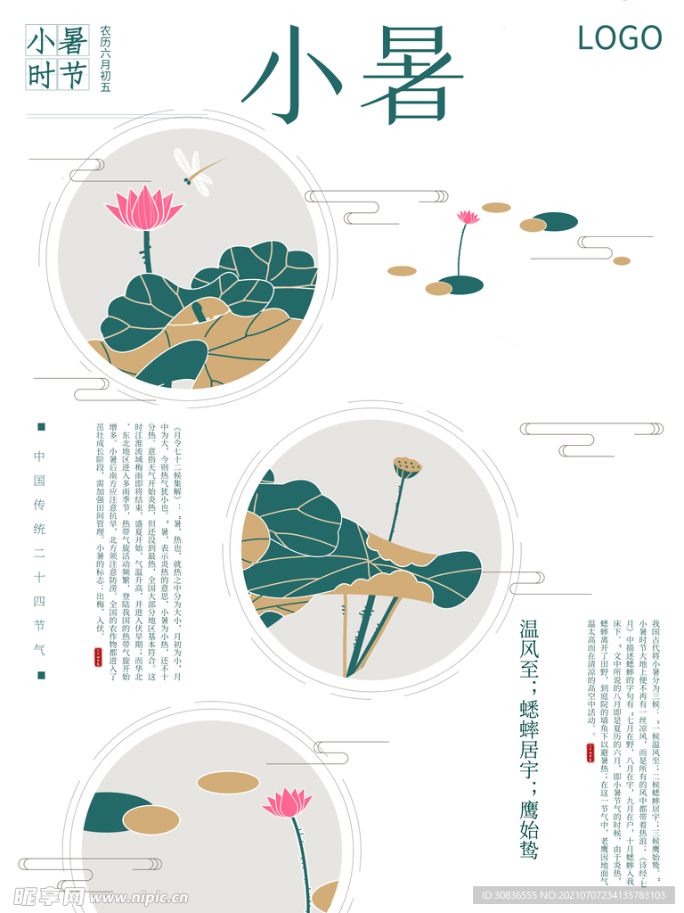 小暑海报 