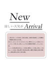 日系文字排版