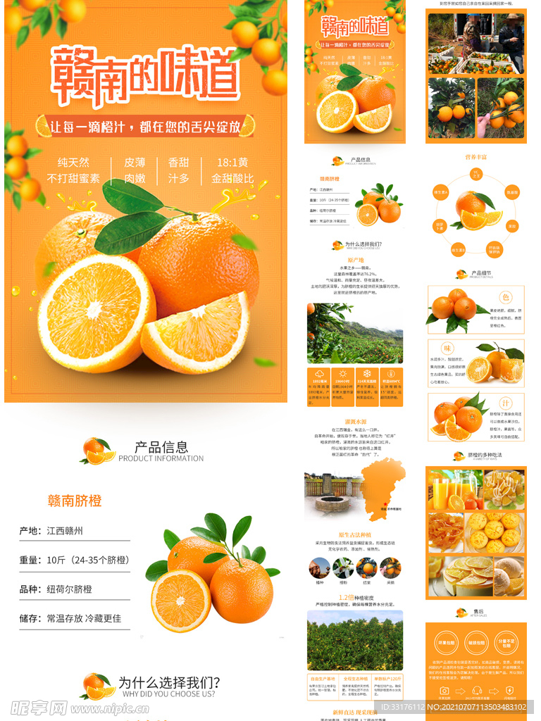 赣州脐橙详情设计