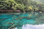 九寨沟美景