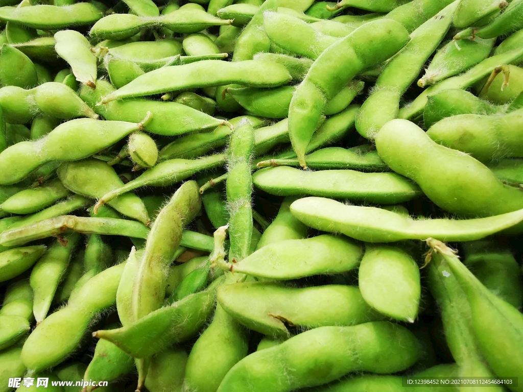 毛豆荚