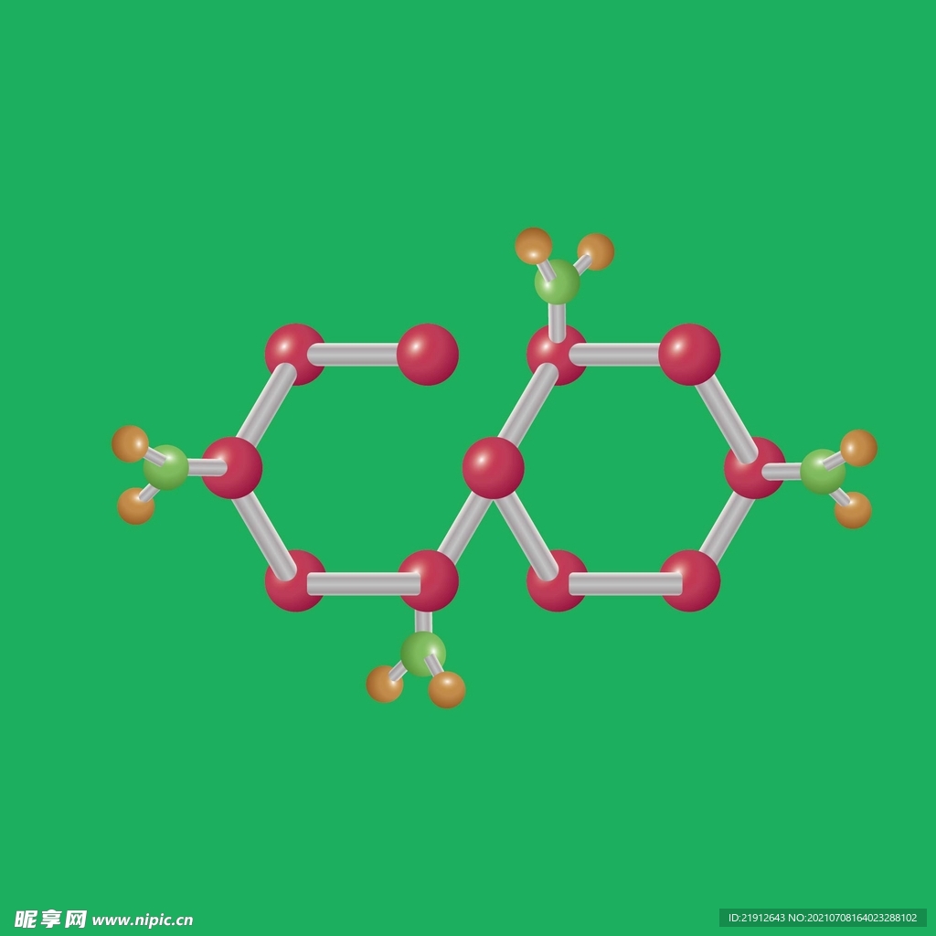 矢量粒子模型