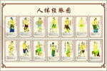 人体14经络图