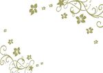 对花藤