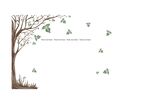 枫树