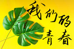 我们的青春